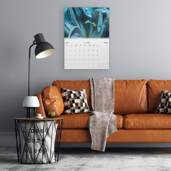 Kalendorius pakabintas ant sienos, šalia sofa su trimis pagalvėmis ir prie jos pastatyta lempa